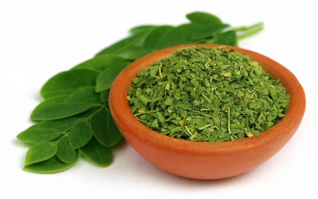 moringa